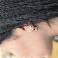 Orecchini Gilma Gioielleria  Donna in Oro OROR-37-286 - OROR-37-286